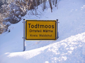 Birke 9, 10 oder 11 Todtmoos